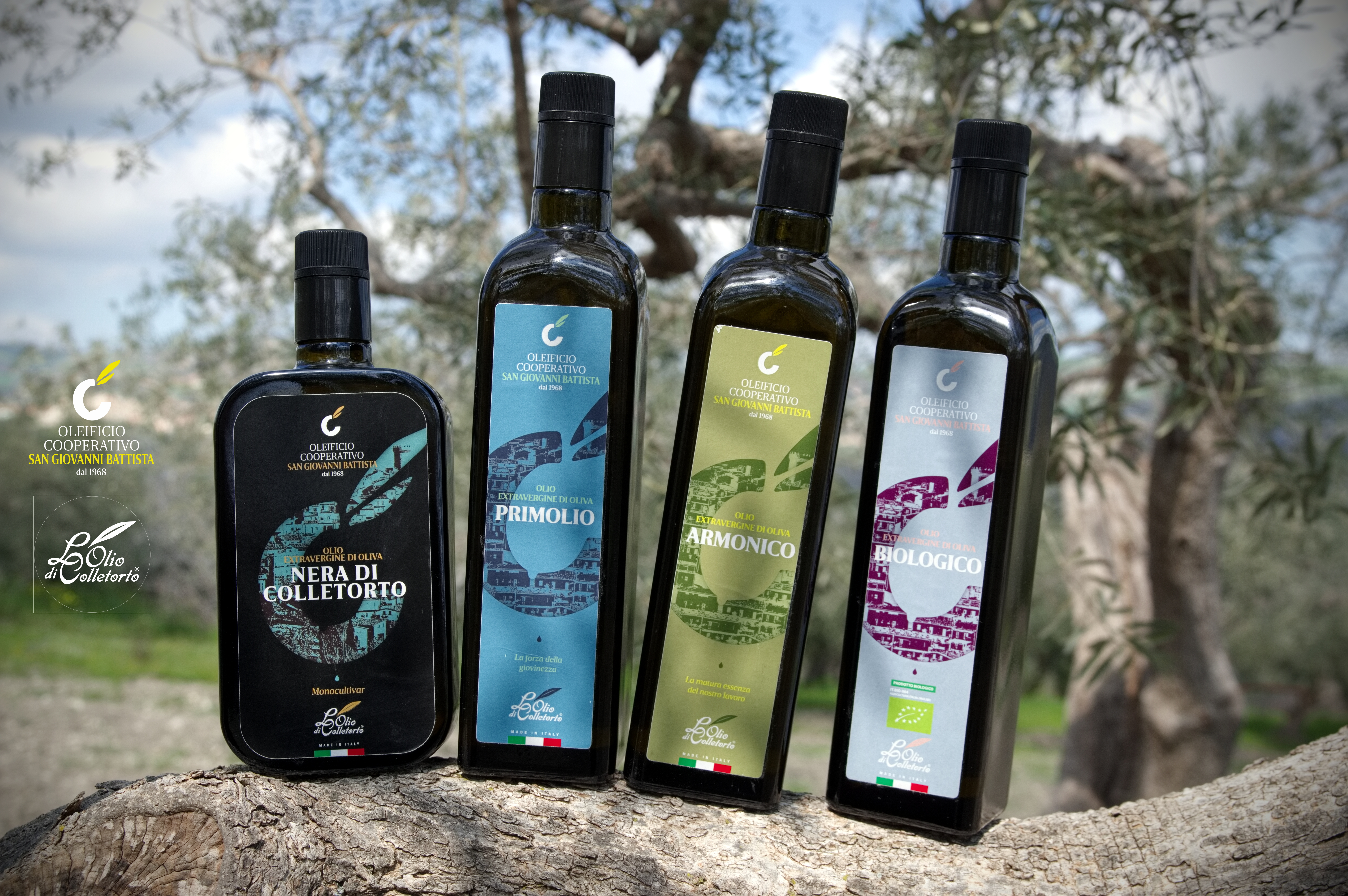 Olio