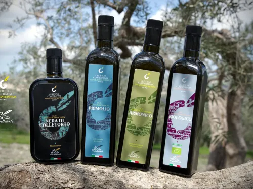Olio
